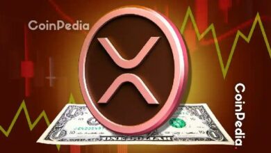 "خبير اقتصادي بارز يدفع بنظرية احتياطي الريبل XRP نحو الزوال: 'لا تراجع عن القرار'"