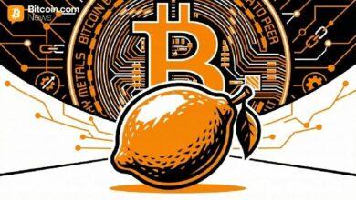 تقرير ليمون: أمريكا اللاتينية توسع قاعدة مستخدمي العملات الرقمية بسرعة تفوق الولايات المتحدة بثلاثة أضعاف