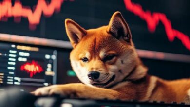 تشكّل شارة الموت لـ Shiba Inu وسط عمليات تصفية بقيمة 441 مليون دولار تهز سوق العملات الرقمية