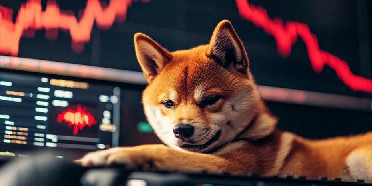 تشكّل شارة الموت لـ Shiba Inu وسط عمليات تصفية بقيمة 441 مليون دولار تهز سوق العملات الرقمية