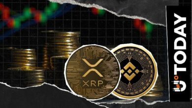عملة بينانس (BNB) تزيح ريبل (XRP) لتصبح رابع أكبر عملة مشفرة من حيث القيمة السوقية