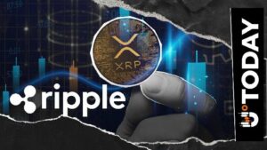 رئيس المهندسين في ريبل يحذر مشغلي العقد من تحديث مهم لـ XRP