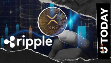 رئيس المهندسين في ريبل يحذر مشغلي العقد من تحديث مهم لـ XRP