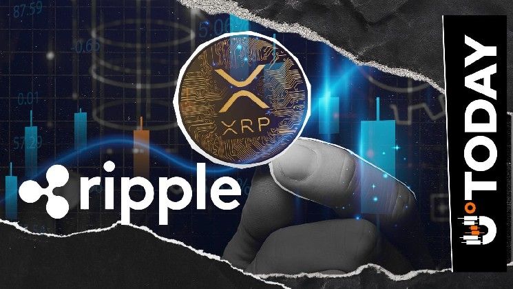 رئيس المهندسين في ريبل يحذر مشغلي العقد من تحديث مهم لـ XRP