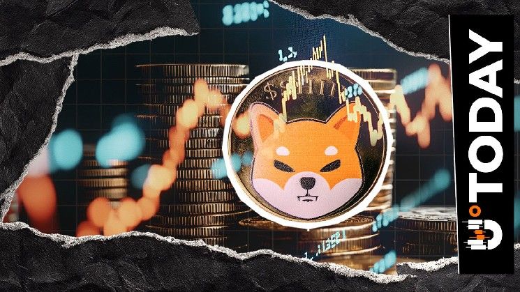 قفزة 658% في التدفقات الفورية لـ Shiba Inu مع انتعاش نشاط SHIB