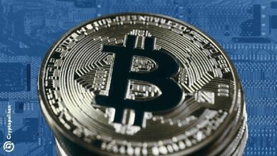 عمال تعدين البيتكوين يتجهون نحو الذكاء الاصطناعي بعد أن أضر تخفيض المكافأة وتكاليف الطاقة بأرباحهم