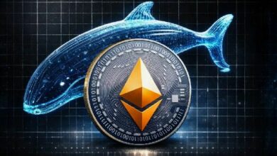 لماذا يشترى الحيتان الإيثيريوم الآن؟ 155 مليون دولار تخرج من البورصات خلال 48 ساعة