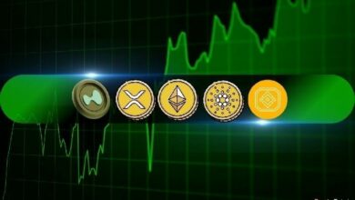 تحليل أسعار العملات الرقمية 20 مارس: الإيثيريوم، الريبل، كاردانو، بينانس كوين، وهايب توكن