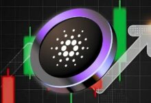 تشارلز هوسكينسون يصف "ميدنايت" كـ "عملة التشفير الجيل القادم".. مستثمرون يتساءلون: هل حان وقت بيع ADA؟