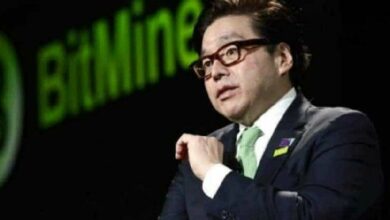 إطلاق ستيكينغ MAVAN من شركة توم لي بيتماين يُحفز ارتفاع السهم