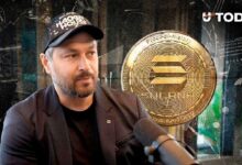 أناتولي ياكوفينكو يتحدث عن هيمنة سولانا على 44% من معاملات العملات الرقمية: "إنجاز ضخم"