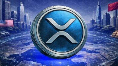 كل مليون دولار يُضخ في XRP يحرك القيمة السوقية بمقدار 490 مليون دولار: لماذا يغير هذا كل شيء