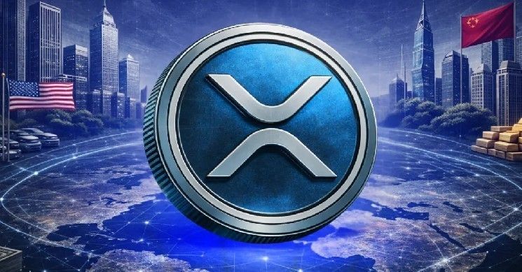 كل مليون دولار يُضخ في XRP يحرك القيمة السوقية بمقدار 490 مليون دولار: لماذا يغير هذا كل شيء