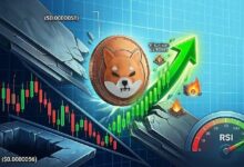 شيبا إينو تقترب من نقطة تحول حاسمة قد تؤدي إلى صعود قوي للعملة