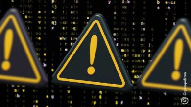 قراصنة الإنترنت يستهدفون مستخدمي العملات الرقمية عبر كابتشا مزيفة