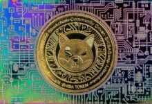 سعر شيبا إينو يقفز إلى 0.00000568 دولار مع اختبار دعم رئيسي