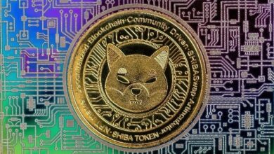 سعر شيبا إينو يقفز إلى 0.00000568 دولار مع اختبار دعم رئيسي