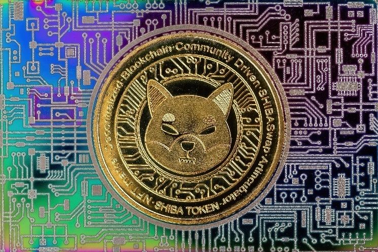 سعر شيبا إينو يقفز إلى 0.00000568 دولار مع اختبار دعم رئيسي