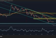 تحليل سعر ريبل: لماذا يشير زوج XRP/BTC إلى إشارة تحذيرية قوية