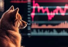 شيبا إينو تتطلع إلى انعكاس محتمل مع تعزيز الإشارات الفنية