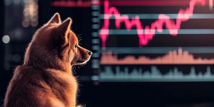 شيبا إينو تتطلع إلى انعكاس محتمل مع تعزيز الإشارات الفنية