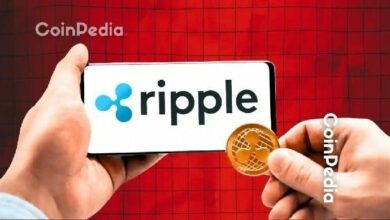 اكتشاف ذكاء ريبل الاصطناعي لـ 10 ثغرات في دفتر حسابات XRP؛ لا داعي للقلق