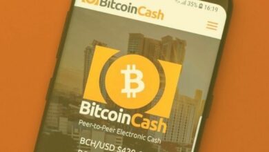 انهيار مفاجئ لـ Bitcoin Cash بنسبة 5% بعد بيع حوت 60,000 BCH