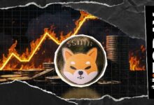 شيبا إينو تحرق أكثر من 4 ملايين عملة SHIB بينما يبدأ السعر في التعافي
