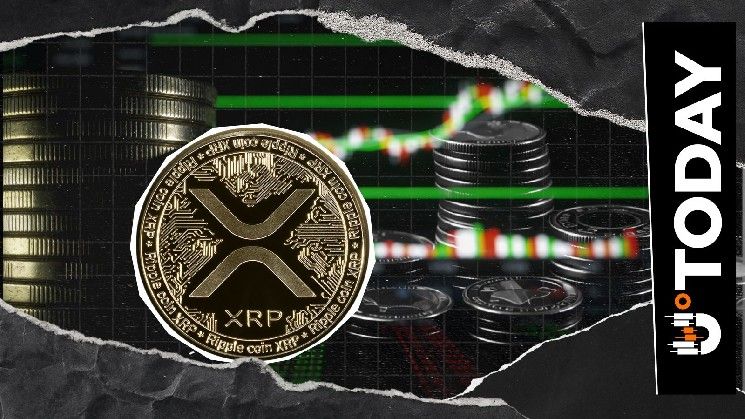 مشتقات XRP تقفز 1185% على البورصات المركزية مع تطلع المتداولين للخطوة التالية
