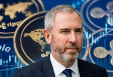 رئيس ريبل (XRP) براد غارلينغهاوس يتوقع: 2026 سيكون عامًا قياسيًا في عالم العملات الرقمية