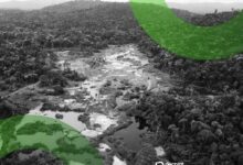 العملات المستقرة تكتسب "أهمية متزايدة" في تجارة الذهب غير المشروعة بمنطقة الأمازون: تقرير GI-TOC