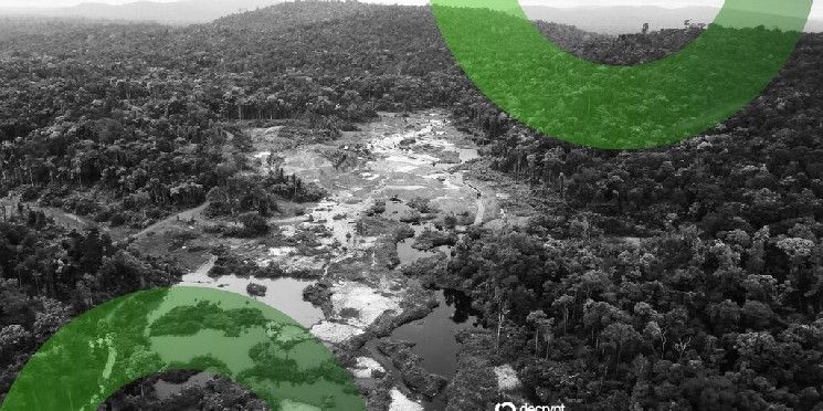 العملات المستقرة تكتسب "أهمية متزايدة" في تجارة الذهب غير المشروعة بمنطقة الأمازون: تقرير GI-TOC