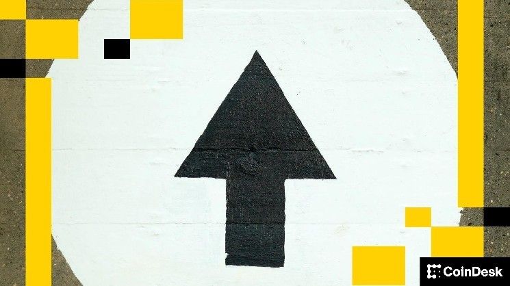 البيتكوين يتجاوز 74 ألف دولار مؤقتًا بينما تشهد الإيثيريوم والسولانا والكاردانو ارتفاعًا يصل إلى 6%