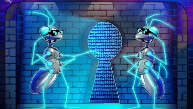 "زاما" تتعاون مع "تي-ريكس" المدعومة من "أبيكس" لتقديم خصوصية مصرفية للبلوكشين العام