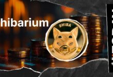 شيبا إينو: انخفاض معاملات شباريوم بنسبة 88%، ما السبب؟