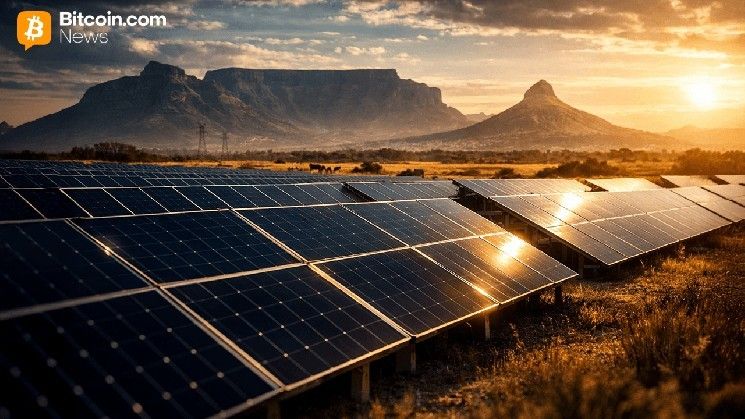 من انقطاع التيار إلى البيتكوين: تحول مفاجئ لشركة كهرباء جنوب أفريقيا نحو بيع الطاقة عالية الكثافة