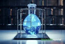 بلوكشين TON تتعاون مع Symbiosis Finance لتعزيز سيولة التمويل اللامركزي عبر السلاسل