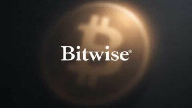 بيتوايز تتبرع بـ 230 ألف دولار من أرباح صندوق BITB لمطوري البيتكوين مفتوحة المصدر