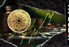 "رحلة التمثيل الرقمي الأوروبي: رئيس مؤسسة كاردانو يحلل التحديات والآفاق"