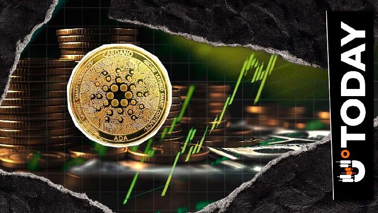 "رحلة التمثيل الرقمي الأوروبي: رئيس مؤسسة كاردانو يحلل التحديات والآفاق"