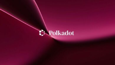 شرح تقليص إصدار بولكادوت (Polkadot Halving): فهم آلية خفض التضخم في عملة DOT