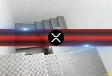 هل يفقد صعود XRP زخمه؟ انخفاض حاد في المراكز المفتوحة عبر البورصات