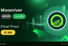 ارتفاع MOVR بنسبة 6.19%: دلالاته وتأثيراته على المتداولين