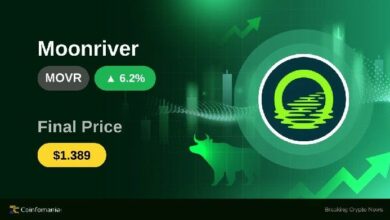 ارتفاع MOVR بنسبة 6.19%: دلالاته وتأثيراته على المتداولين