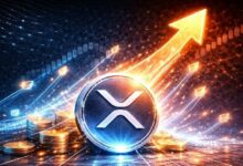 لماذا لا يتحرك سعر XRP؟ رئيس Evernorth يكشف عن انفصال التبني عن السعر