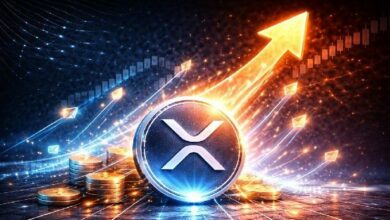 لماذا لا يتحرك سعر XRP؟ رئيس Evernorth يكشف عن انفصال التبني عن السعر