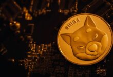 خسارة تدفق سبوت شيبا إينو (SHIB) البالغة -1,813%: ليست كما تظن