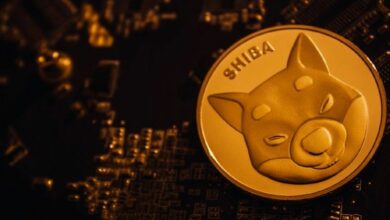 خسارة تدفق سبوت شيبا إينو (SHIB) البالغة -1,813%: ليست كما تظن