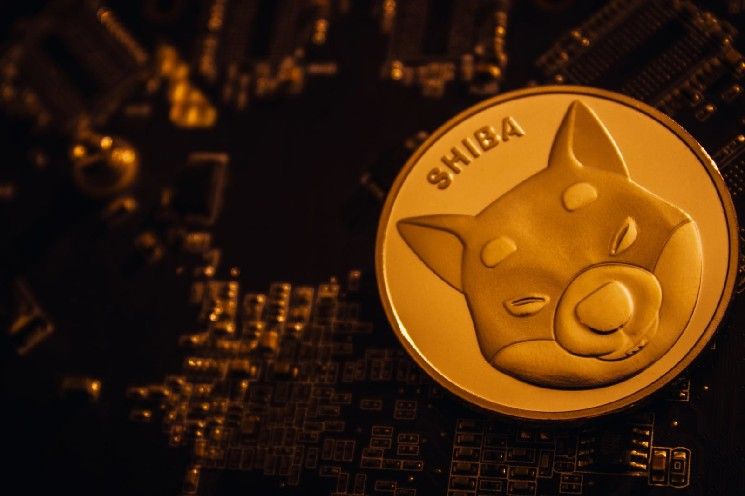 خسارة تدفق سبوت شيبا إينو (SHIB) البالغة -1,813%: ليست كما تظن