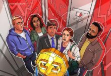 انخفاض حاد لـ SIREN بنسبة 70% بعد تحذيرات المحللين من تركيز الملكية